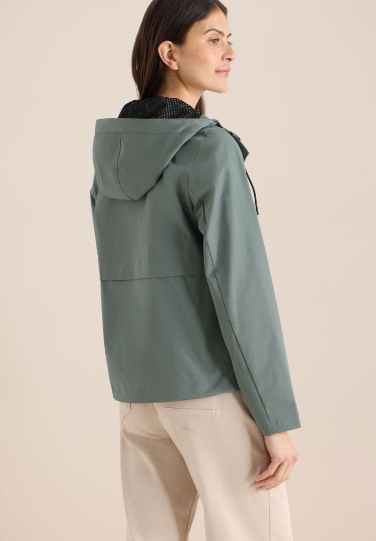 17201 kelp gree