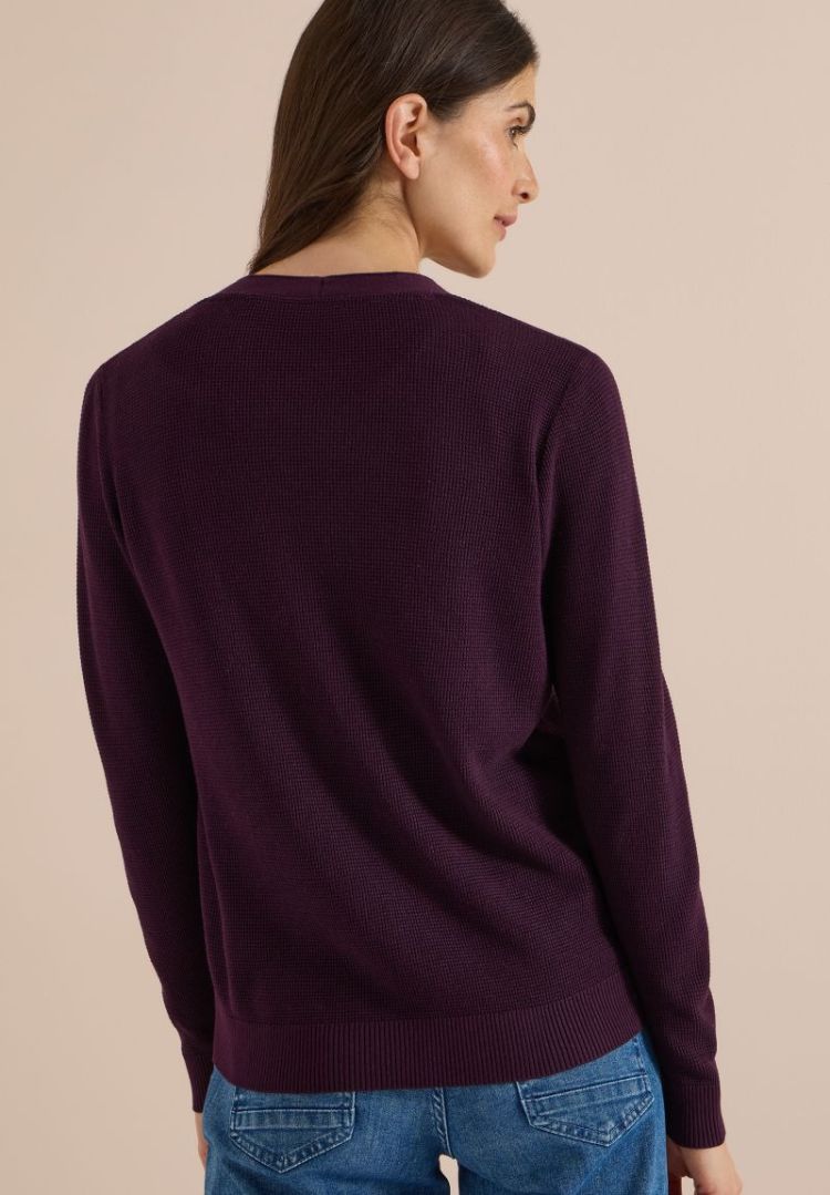  16855 eggplant